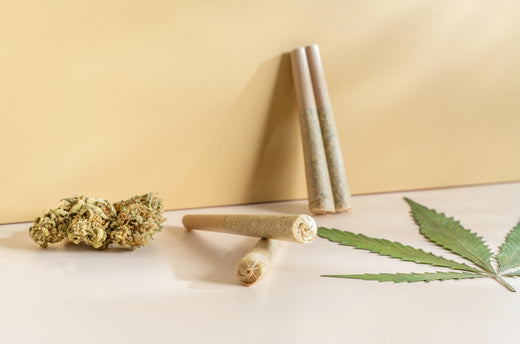 Your Definitive Guide to Pre-Rolls