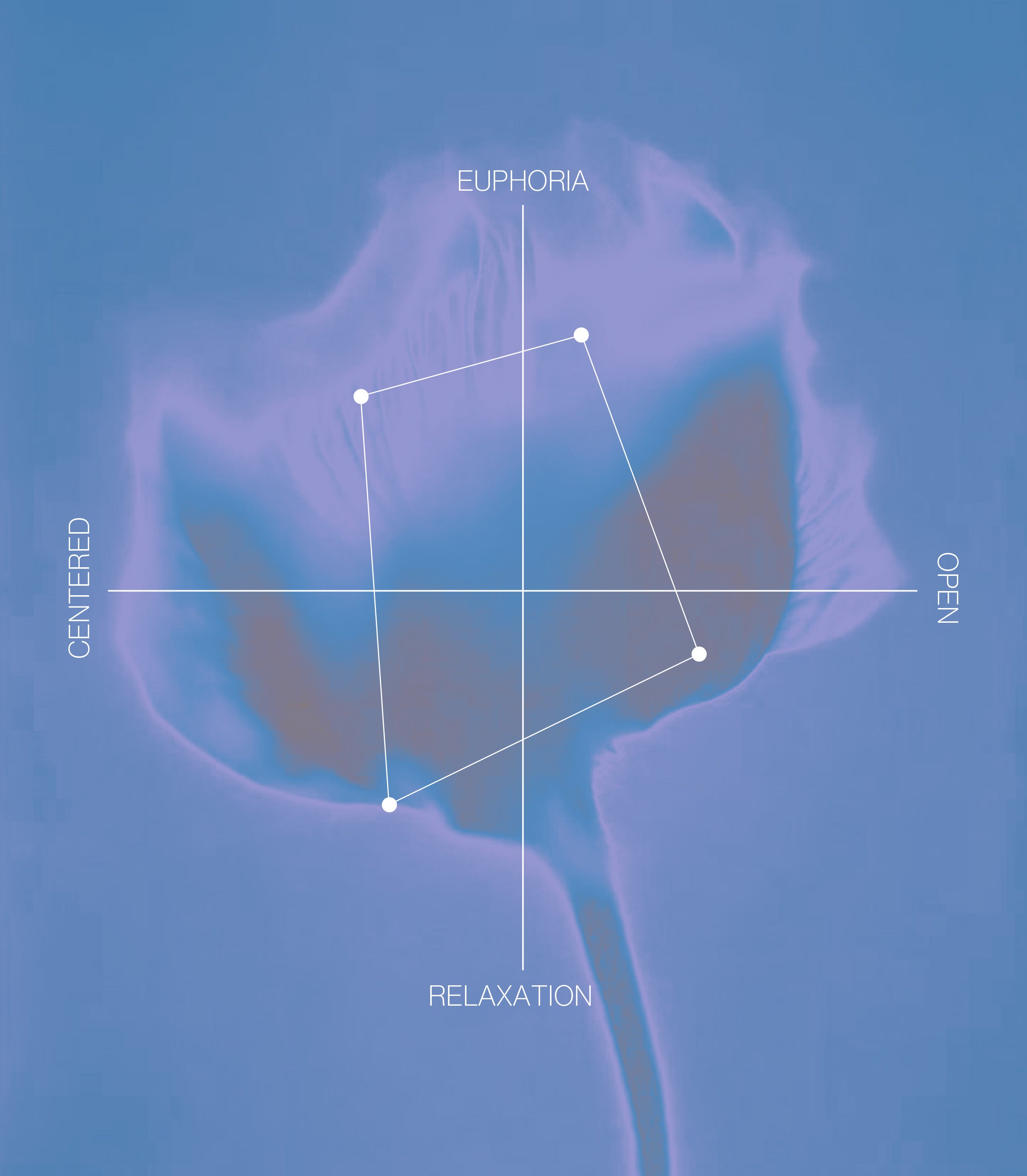 Wind Down – Miss Grass